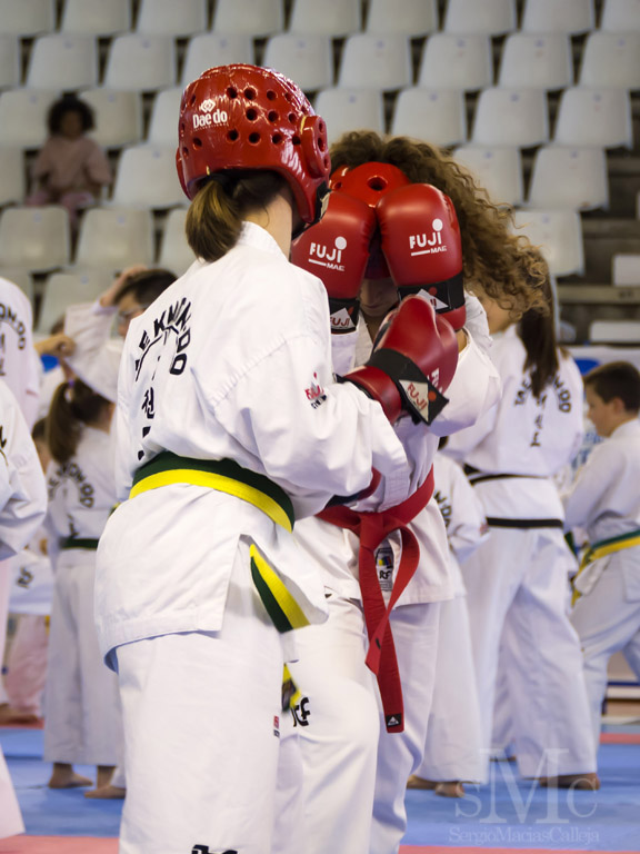 DIA DEL TAEKWONDO ABRIL 2017_3820.JPG
